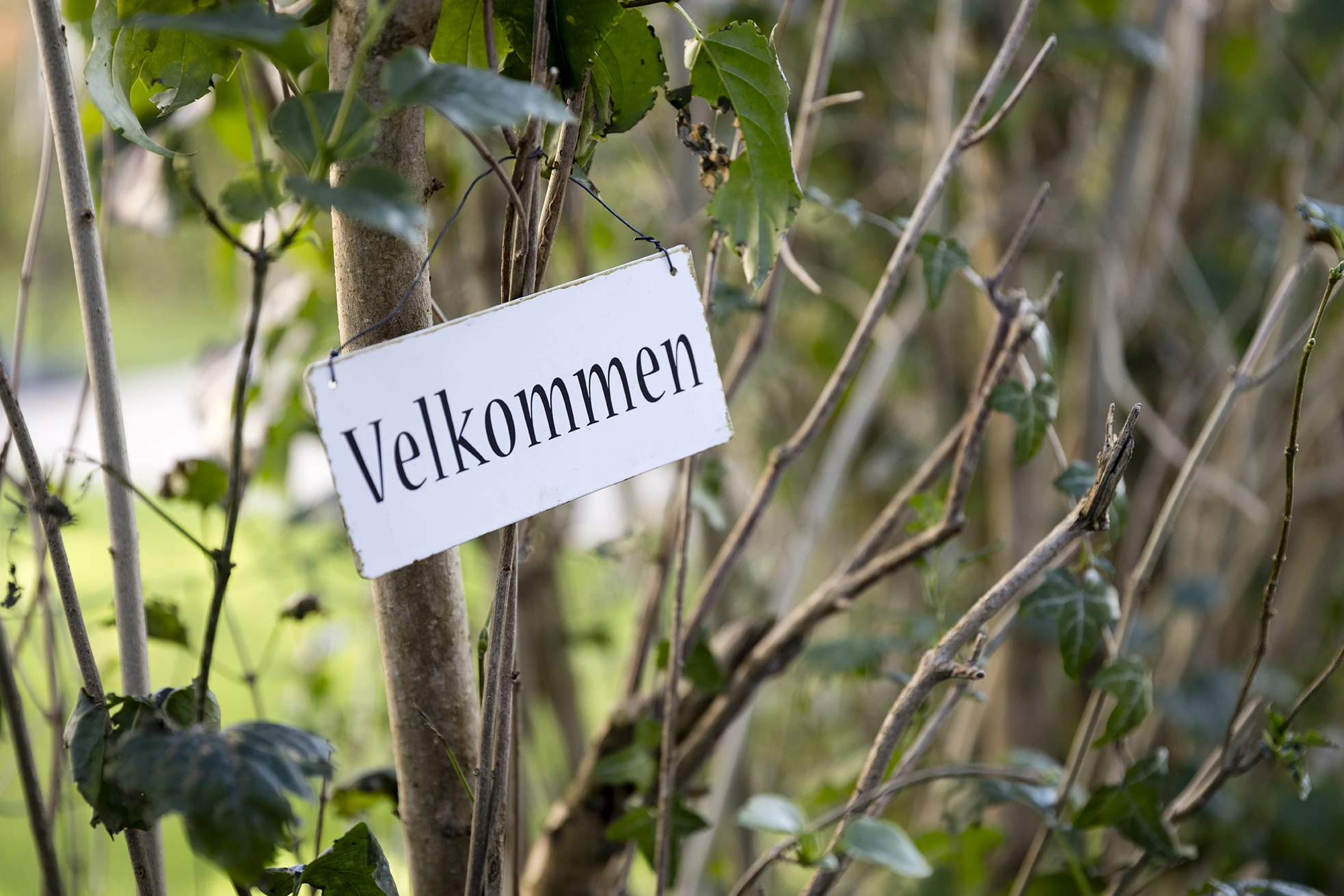 Velkommen til Klinik Majland, ansigtsbehandling i Odense